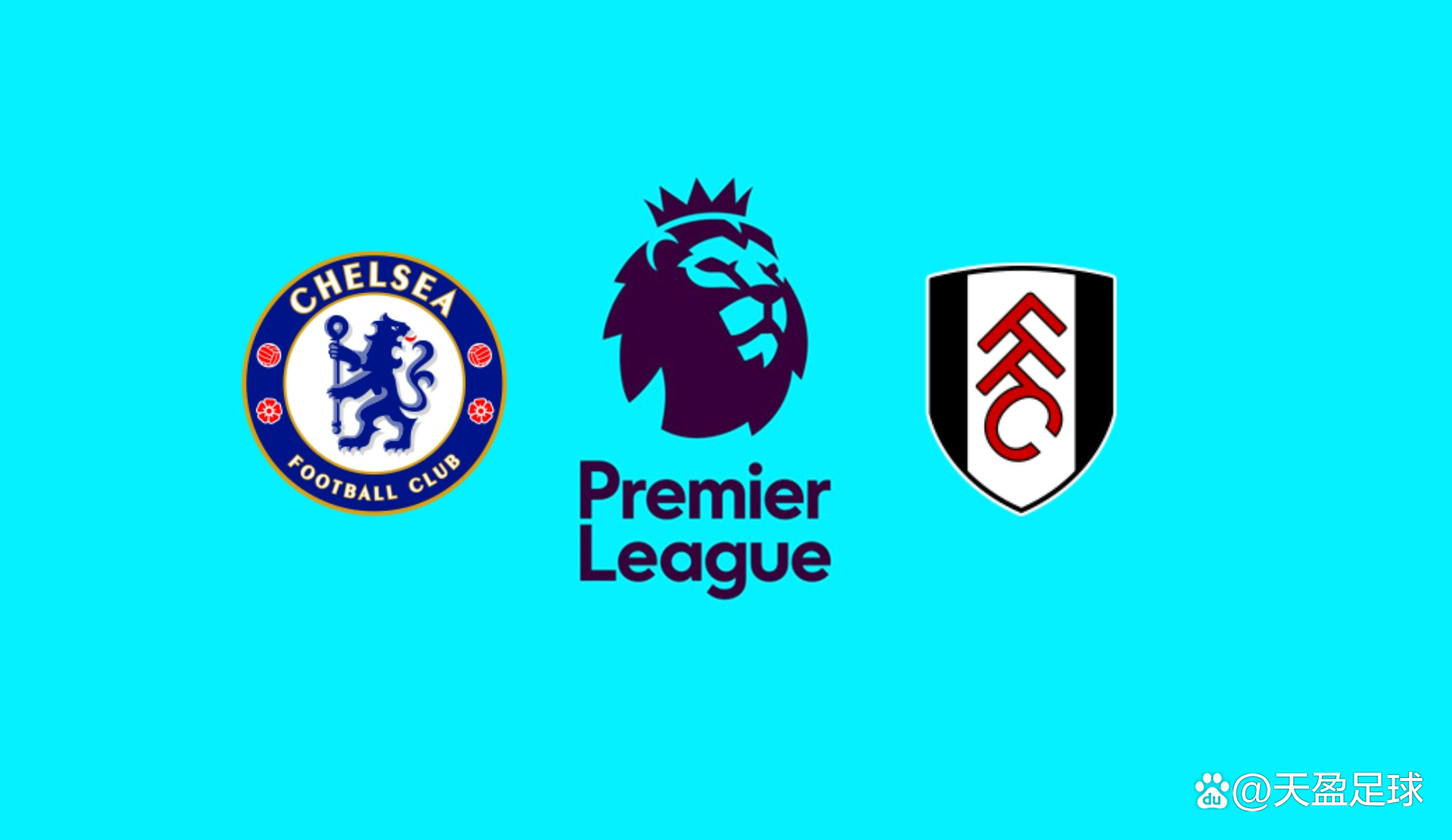 勒沃库森客场3-1狼堡，蒂尔曼传射，霍夫曼、塔普索巴建功