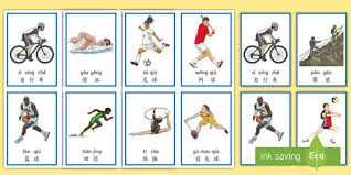 综合体育国际交流赛事 动态持续更新