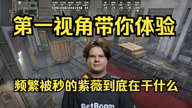 体系